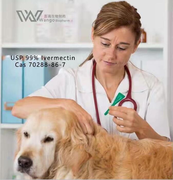 Anti COVID 19 Veterinary Raw Materials USP grade Ivermectin 99%