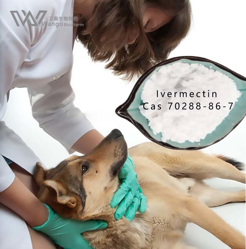Wango Mk 933 Ivermectin White Fine Powder FDA Approved Antiparasitic Drug