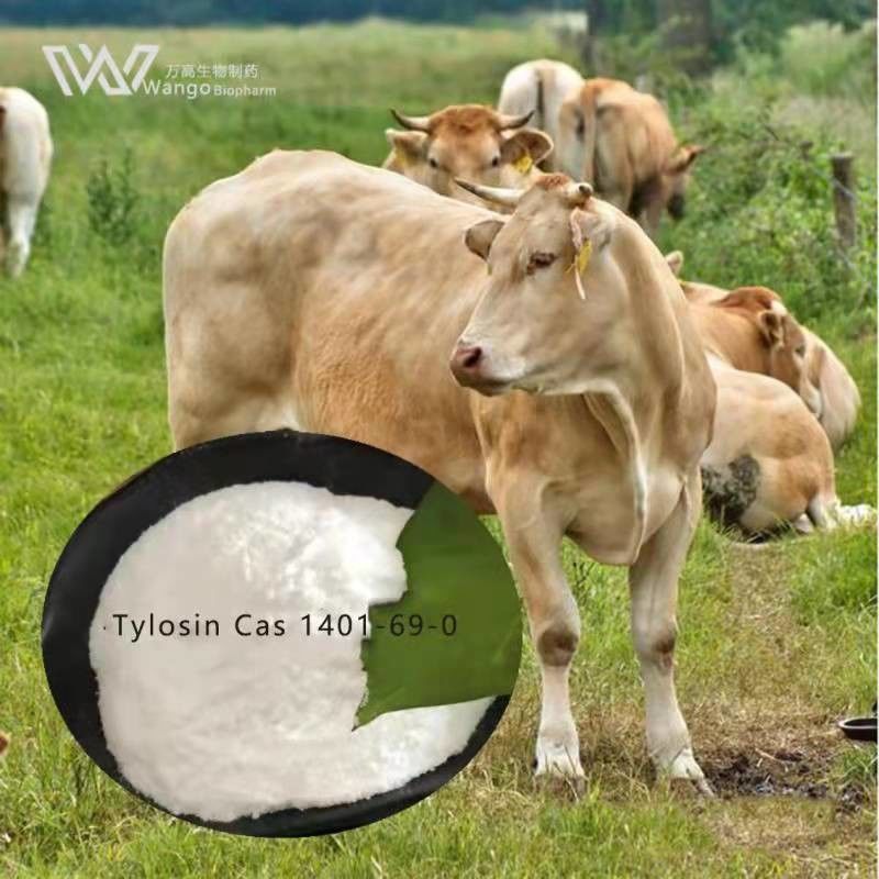 Effective Veterinary API Tylosin Cas 1401-69-0 for Animal Growth Promotion