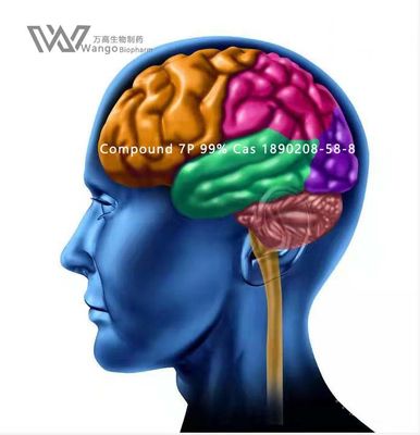 Poudre blanche de CAS 157115-85-0 Noopept GVS- 111 pour Brain Improvement