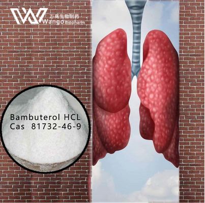 Agents asthmatiques de HCL 99% de Bambuterol anti 81732-46-9 pour le traitement d'asthme bronchique