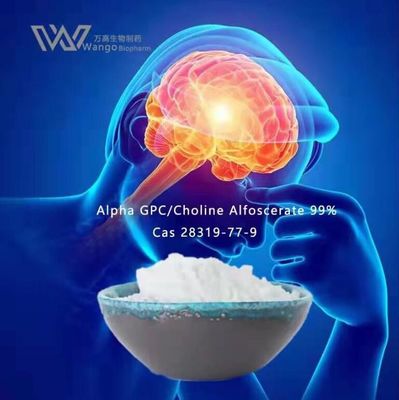 choline de l'alpha GPC de 50% 80%, poudre 28319-77-9 d'Alfoscerate de choline