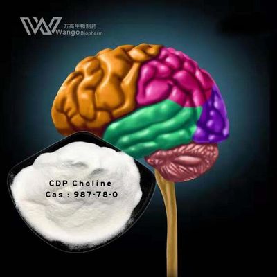 Supplément de choline CDP pour la récupération du cerveau après une intervention chirurgicale Matériau de base médical Livraison rapide CAS 987-78-0